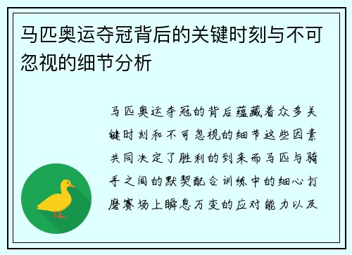 马匹奥运夺冠背后的关键时刻与不可忽视的细节分析