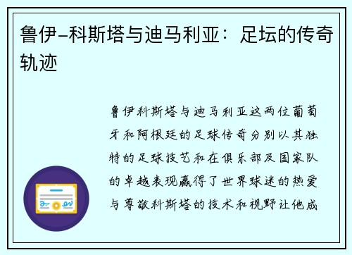 鲁伊-科斯塔与迪马利亚：足坛的传奇轨迹
