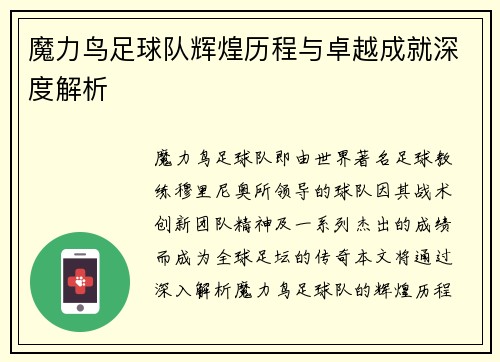 魔力鸟足球队辉煌历程与卓越成就深度解析